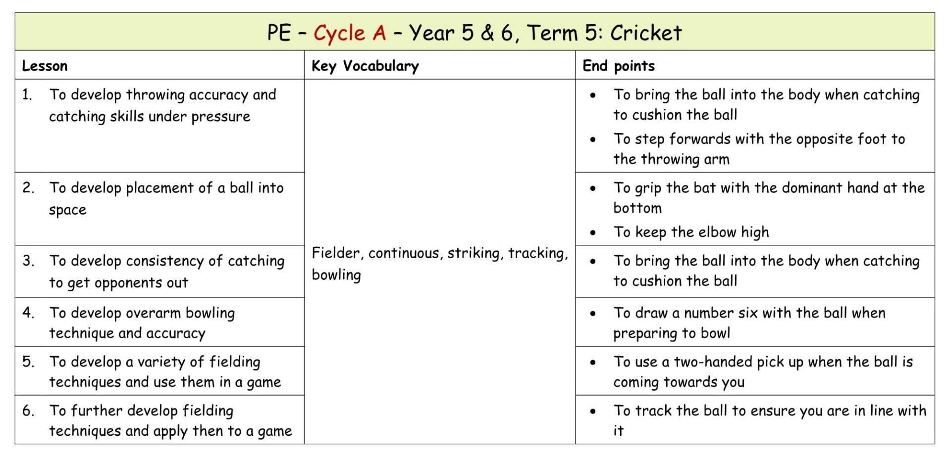 Yr 6 Term 5 Cricket