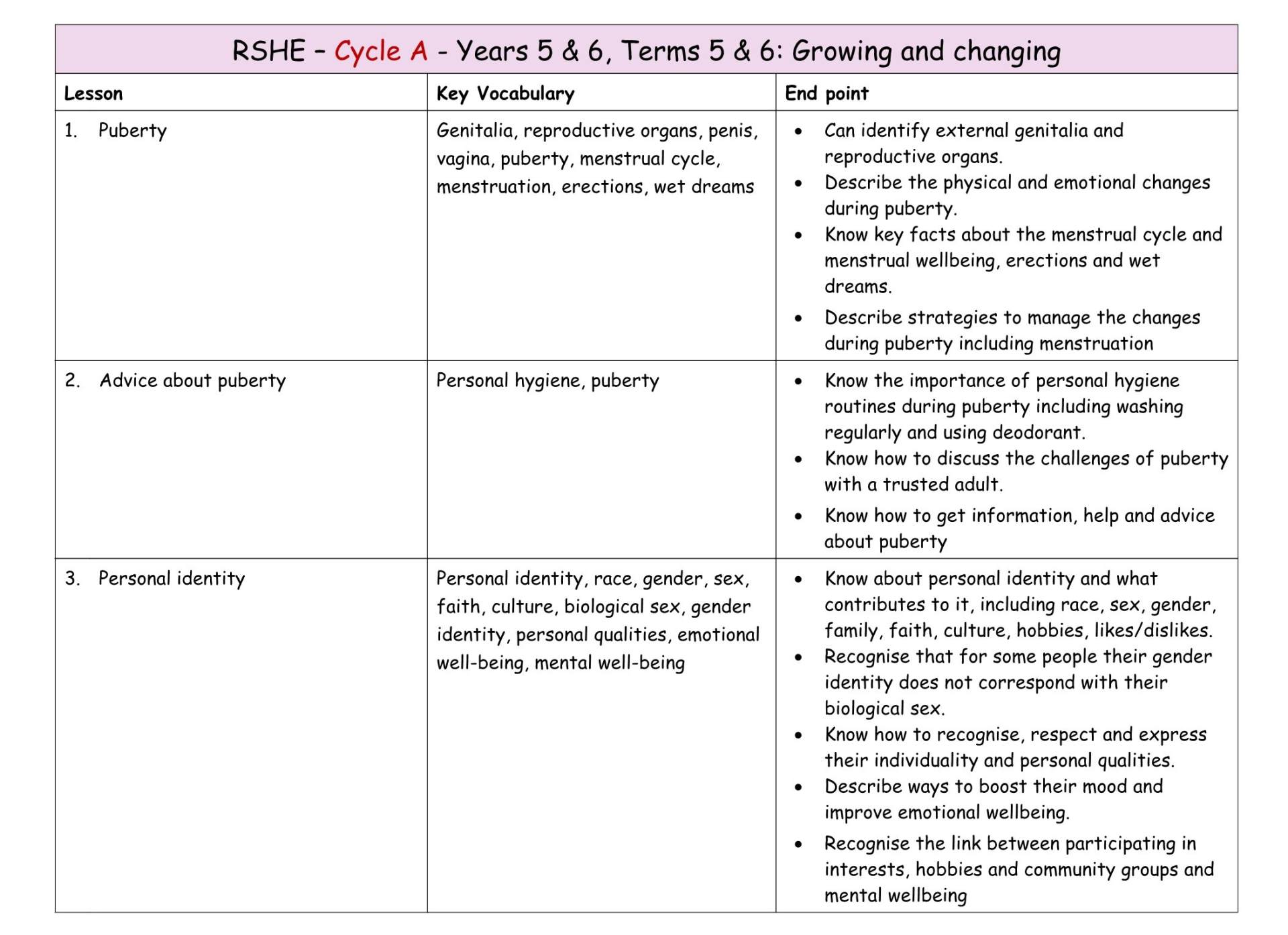 RSHE Y5&6 MTP T5&6b