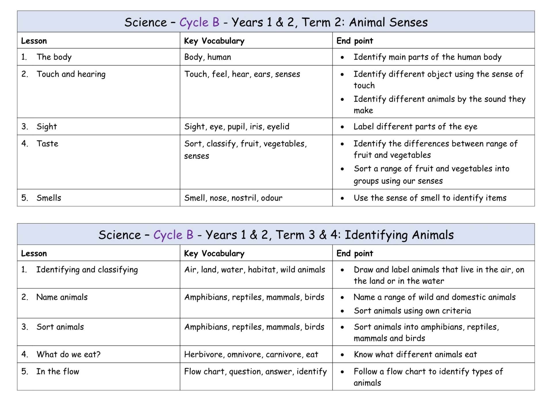 Yr 1+2 Cycle B Term 2-4