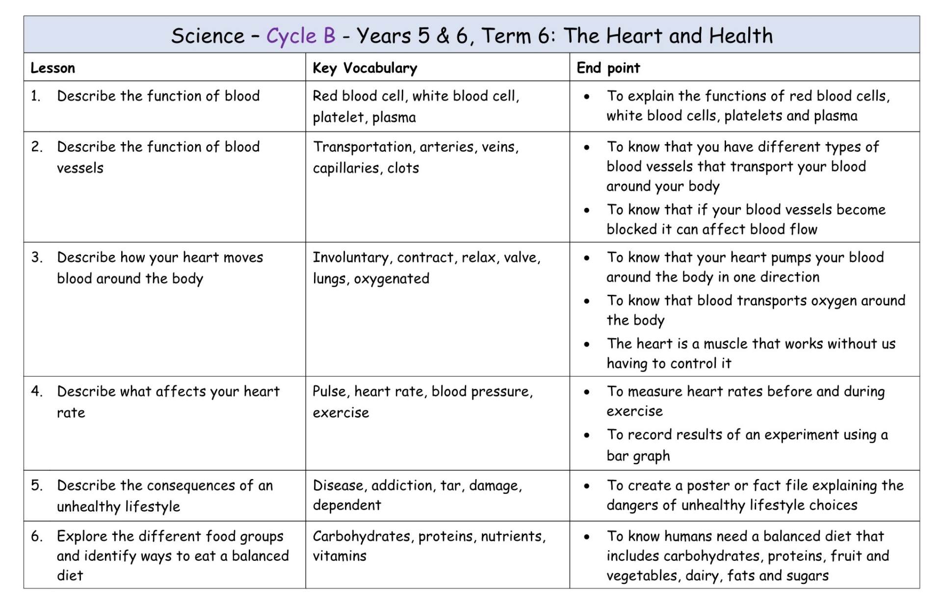 Yr 5+6 Cycle B Term 6