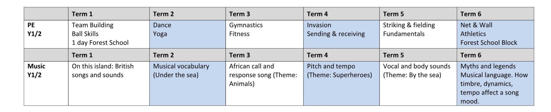 Y1 long term plan 2