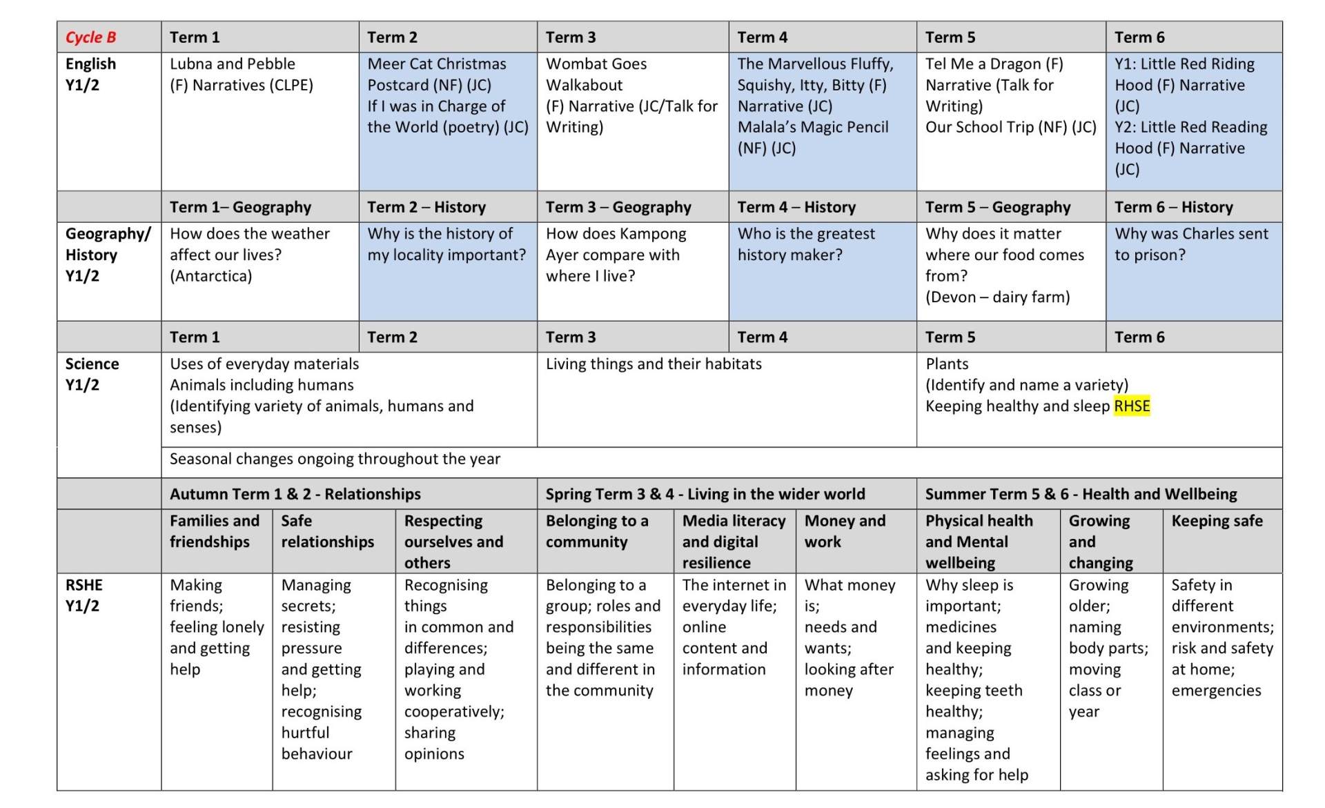 Y2 Long Term Curriculum Plan 3