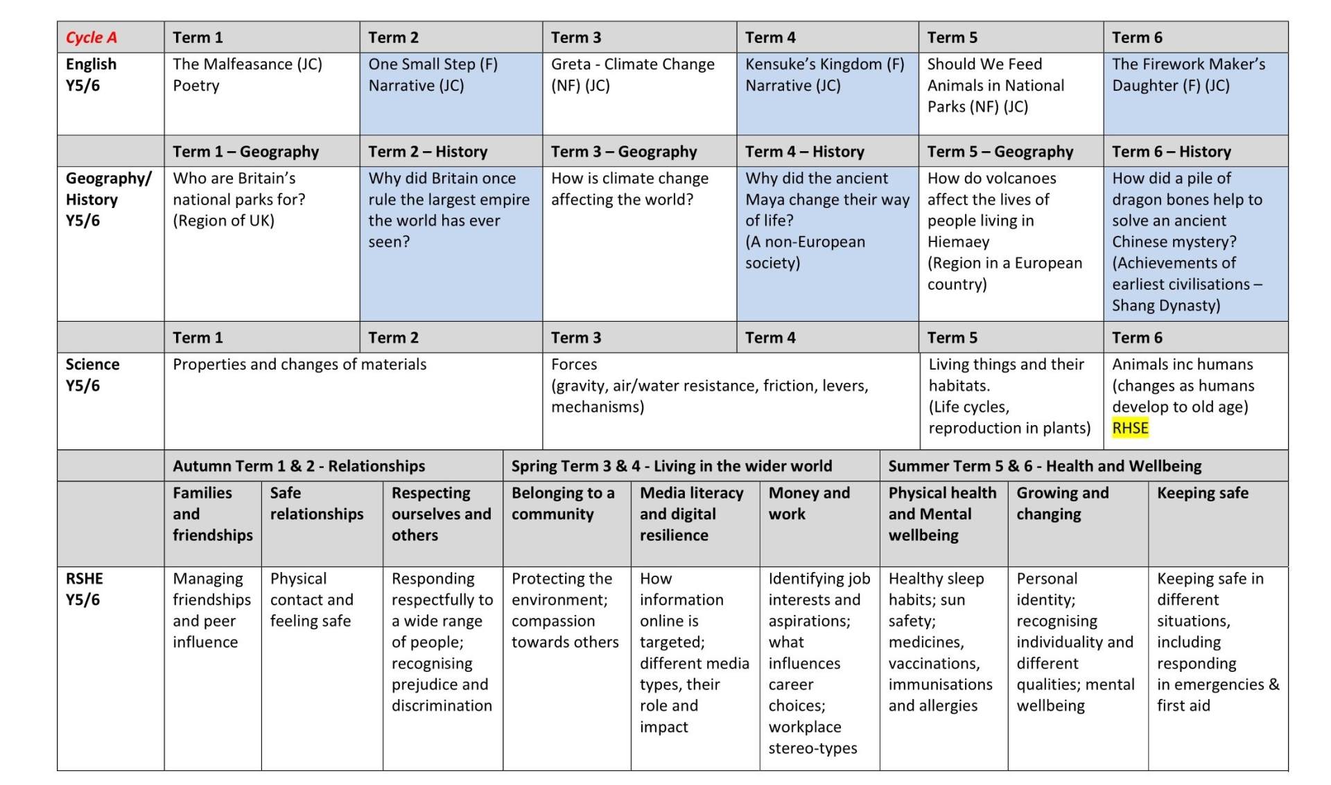 Y5 Curriculum Long Term Plan 1